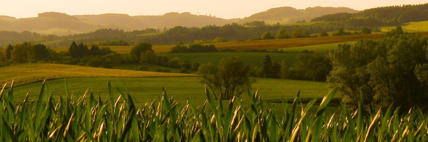 Header Image