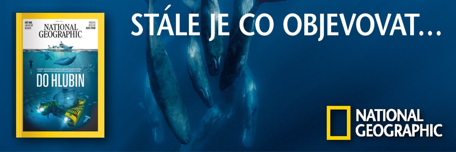 Header Image